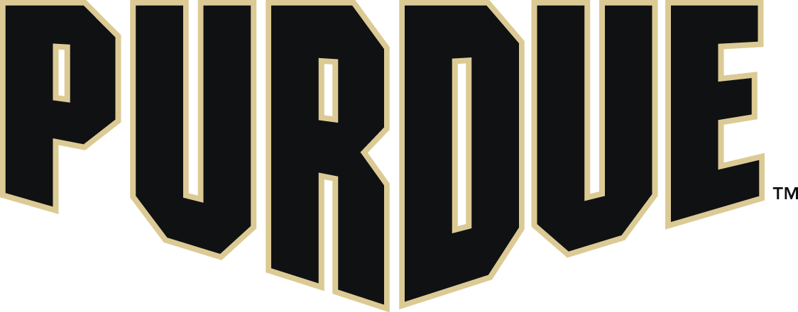 Purdue Boilermakers 2012-Pres Wordmark Logo v8 iron on transfers for fabric